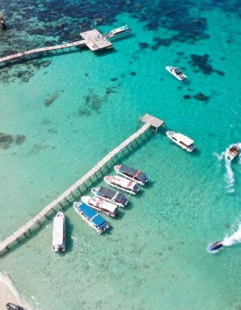 Palace of Versailles